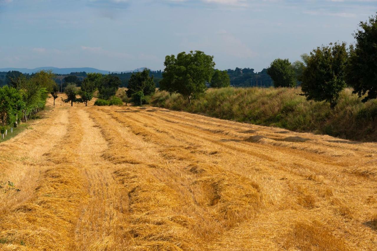 Locazione Turistica Casa Vento Della Toscana Foiano Della Chiana Zewnętrze zdjęcie
