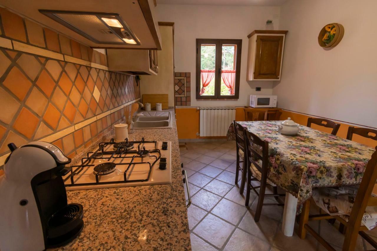 Locazione Turistica Casa Vento Della Toscana Foiano Della Chiana Zewnętrze zdjęcie